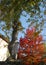 Statue leaves with bright red view from the right bank of the Brenta Oriago a town in the province of Venice in the Veneto (Italy)