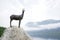 The statue of the legendary Goldhorn - Zlatorog - chamois on the shore of Lake Bohinj, Slovenia.