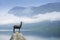 The statue of the legendary Goldhorn - Zlatorog - chamois on the shore of Lake Bohinj, Slovenia.