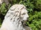 Statue of a lion, the head, white marble