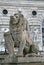 Statue of a lion with a shield, Hofburg Palace, Vienna, Austria