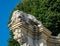 Statue of a lion with a thickly growing tree in the background on a sunny day