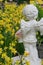 Statue of little child with angel wings which faces a large glade yellow narcissus daffodils flowers