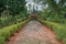 Statue of Lord Shreyans Nath Birthplace of Jain Tirthankar Lord Shreyans Nath,Sarnath