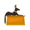 Statue of lying Anubis on golden pedestal, side view. Black-coated wolf or jackal with gold necklace. Flat vector icon