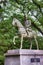 Statue of Maeda Toshinaga 1562-1614 at Takaoka castle Park in Takaoka, Toyama, Japan. He was a