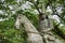 Statue of Maeda Toshinaga 1562-1614 at Takaoka castle Park in Takaoka, Toyama, Japan. He was a