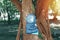 The statue of a monk meditating with a smile under a big tree