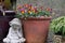 Statue of monkey sitting next to terracotta flower pot full of colourful pansies in a suburban garden.