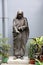 Statue of mother teresa in Mother house, Kolkata