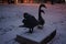 Statue of a pair of swans under the snow in December. Berlin, Germany