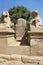 Statue of Ram Headed Sphinx in Karnak Temple, Luxor, Egypt