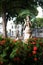 Statue seen among the flowers of the gardens at Largo do Campo Grande