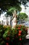 Statue seen among the flowers of the gardens at Largo do Campo Grande