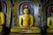 Statue of sitting Buddha in Mulkirigala temple, Sri Lanka