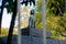 Statue of sitting Frida Kahlo in park from Mexico City