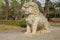 Statue of a sitting lion