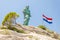 Statue of St. Peter, fallen tree and flag of Croatia