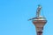 Statue of St Theodore with a crocodile on an ancient pillar on the Piazza San Marco, Venice, Italy