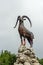 Statue Tahe, mountain goat is the symbol of Arshan. Russia