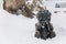 Statue titled The Child from Mars 2003, Author Jaroslav Rona, Jested tower, transmitter and mountain hotel, snow, Frosty foggy