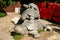 The statue of a tortoise - a symbol of long life in the Valley of Longevity Nanshan Park. Sanya, Hainan.