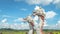 Statue of twin dragon with beautiful sky as the background in Pulau Kumala, Indonesia