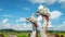 Statue of twin dragon with beautiful sky as the background in Pulau Kumala, Indonesia