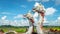 Statue of twin dragon with beautiful sky as the background in Pulau Kumala, Indonesia