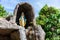 Statue of Virgin Mary in a rock cave chapel outside the St Anneâ€™s Catholic Church in Baie Ste Anne, Praslin