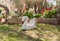 The statue of a white swan made of white stone stands on the grass in the garden of the Deir Al-Mukhraqa Carmelite Monastery in