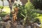 Statue of a woman with a flower pot in the garden