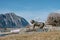 Statue of a woman washing clothes on the shores of Lake Ceresio in Bissone near Lugano: Canton Ticino. Switzerland- January, 2020