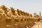 Statues in the Alley of the Ram Headed Sphinxes at the Temple of Karnak in Luxor, Egypt