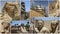 STATUES COLLAGE IN EGYPT