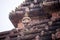 Statues of figures playing musical instruments at Sun Temple Complex, Konark, India.