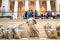 Statues in Greek Courtyard of Pushkin State Museum