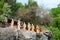 Statues of monks in Golden cave temple in Dambulla, Sri Lanka