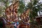 Statues of mythical Thai dragons guard the stairs at Wat Phra That Chom Kitti.