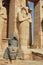 Statues of Pharoah Ramses II at the Ramasseum, Luxor