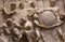 Statues in piazza della signoria, Florence, Italy