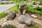 Statues in public place with elements of landscape design, elements of urban Park infrastructure