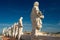 Statues on the roof of St. Peter`s basilica