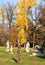 Statues and sculptures among the grass and trees with colorful leaves in Padua in Veneto (Italy)