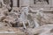 Statues at Trevi fountain Fontana di Trevi in  Rome, Italy