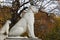 Statues of two lionesses near the Palace Pavilion in Kolomenskoye Park