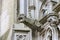 Statues on the wall of cathedral in Den Bosch. The Netherlands