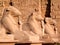 Statues at the world famous Karnak Temple. Luxor  Egypt.