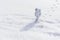 Statuette of an astronaut confidently explores alien planet`s surface. Cold planet covered with snow