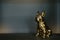 Statuette dogs Golden French bulldog on the shelf